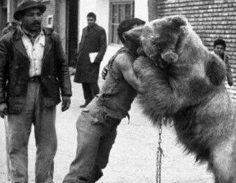کشتی با خرس تفریح مردم طهران قدیم/عکس