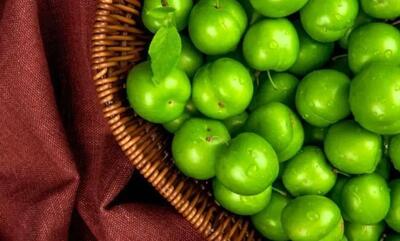 گوجه سبز به کیلویی ۱۱ میلیون رسید! | گوجه سبز از کالای لوکس هم فراتر رفت