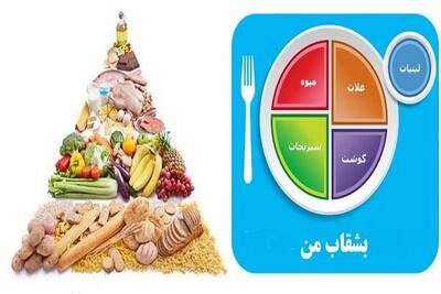 لزوم ارتقای سواد غذایی برای مقابله با تهدیدات در سبک زندگی مدرن