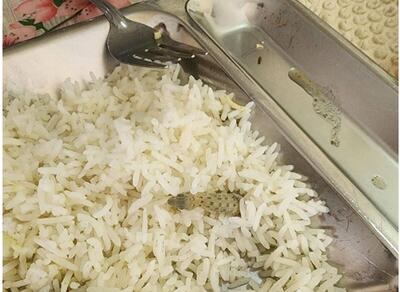 واکنش دانشگاه کاشان به ماجرای پیداشدن مارمولک در غذای سلف دانشجویی