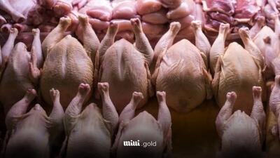 قیمت روز گوشت مرغ امروز ۲۰ فروردین ۱۴۰۴ اعلام شد / از مرغ زنده تا فیله و ران با پوست چند؟