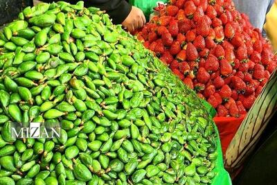 عرضه چغاله بادام کیلویی ۱۴۰ هزارتومانی در میادین و بازار‌های میوه و تره‌بار