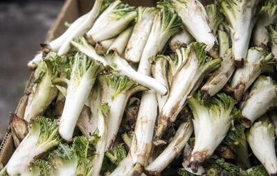 کنگر خواص زیادی دارد اما زنان باردار نخورند