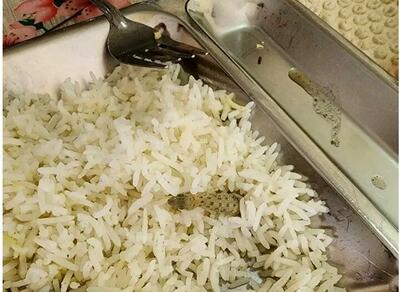 صف۲۰۰ متری غذاها پس از پیدا شدن مارمولک