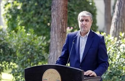 زیرساختهای هسته‌ای ایران تولید ملی است