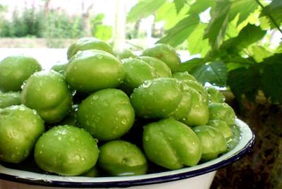 گوجه سبز دانه‌ای ۱۰۰ هزار تومان