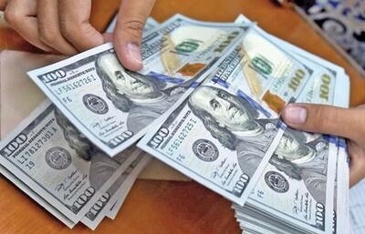ماجرای اختلاف ارزی بانک مرکزی و صمت