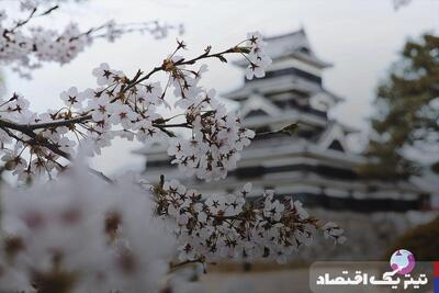 ۵ تور مسافرتی خارجی برای سفر با فرزندان