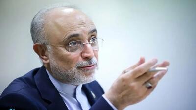 رئیس سابق انرژی اتمی: جمهوری اسلامی باید از نظر قدرت درونی آنقدر قوی شود تا طرف مقابل تسلیم شود