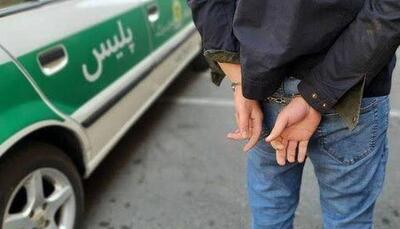 اوباش فاریابی و مخل امنیت روانی مردم دستگیر شد