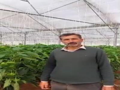 صادرات از آباده تا روسیه