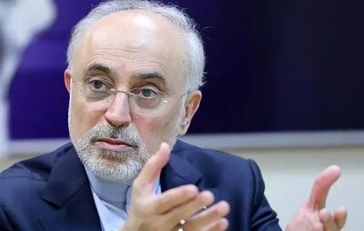 امیدواری صالحی به نتیجه  مذاکرات مسقط