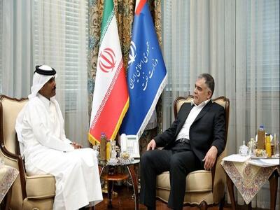 وزیر نفت با سفیر قطر در ایران دیدار کرد