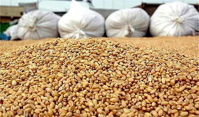 نهاده‏‏‏‏‏‏‏‏‌های دامی و کالاهای اساسی تامین می‌شود