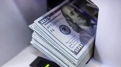 سبقت قیمت ارز از نرخ تورم در سال ۱۴۰۳
