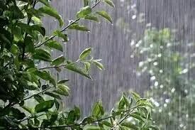 بارش باران و رگبار در دامنه های جنوبی البرز و تهران