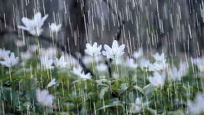 پیش بینی آب و هوای گیلان برای فردا جمعه 22 فروردین 1404