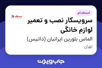 استخدام سرویسکار نصب و تعمیر لوازم خانگی - آقا در الماس بلورین ایرانیان (داتیس)