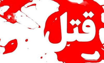 عوامل قتل های خانوادگی در شهریار دستگیر شدند