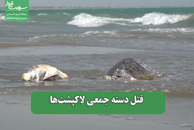 قتل دسته جمعی لاکپشت‌ها