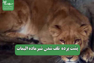 پشت پرده  تلف شدن شیرماده الیمات