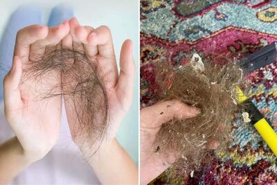 ترفند کاری برای جمع کردن مو از روی فرش و موکت بدون دوشواری / روش کدبانوهای وسواسی