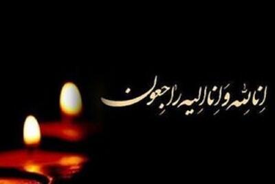 فرزند وزیر اسبق بهداشت به شهادت رسید + عکس