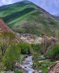 عکس | طبیعت زیبا و بهاری روستای آهار شمیرانات