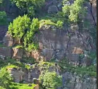طبیعت زیبای دره اندیمشک 