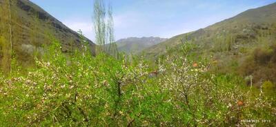 طبیعت زیبای زشک و چشمه قُلقُلی