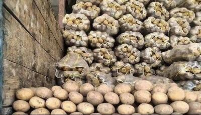 جنجال بر سر ایرانی بودن سیب‌زمینی‌های وارداتی از پاکستان