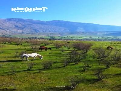 زیبایی دشت سوسن در ایذه