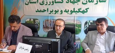 کاهش وابستگی به بارش در زراعت، منجر به پایداری تولید می‌شود/ ۷۰ درصد زراعت کهگیلویه و بویراحمد دیم است