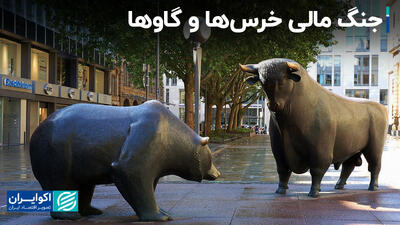 جنگ مالی خرس‌‌ها و گاوها