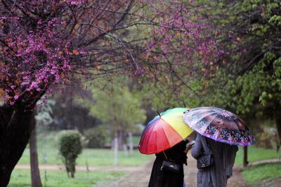 وضعیت آب و هوا، امروز ۲۲ فروردین ۱۴۰۴؛ باد و باران در نوار غربی استان‌های مرکزی کشور / کاهش دمای هوای تهران