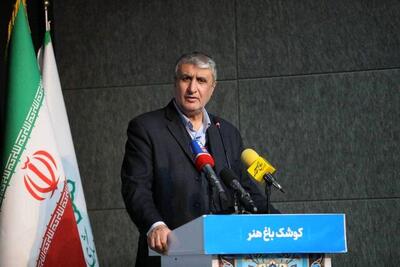 محمداسلامی: ۳ دستاورد هسته‌ای ایران به تراز جهانی رسید