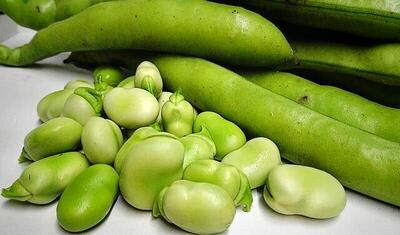 همه چیز درباره «فاویسم»