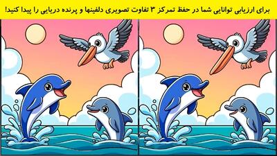 برای ارزیابی توانایی شما در حفظ تمرکز 3 تفاوت تصویری دلفینها و پرنده دریایی را پیدا کنید!
