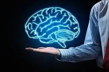مغز از چه سنی پیر می‌شود؟