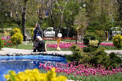 فیلم/ باغ گل‌های لاله در اراک