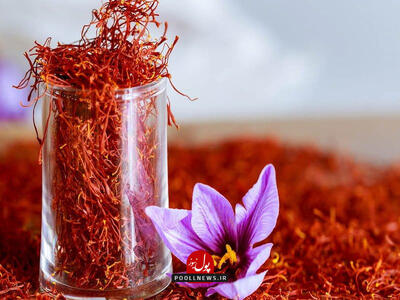 ایران یک سوم ظرفیت زعفران تولید می‌کند