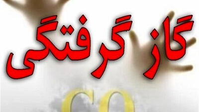 11 کشته و مصدوم در حادثه گازگرفتگی در منطقه دروس تهران