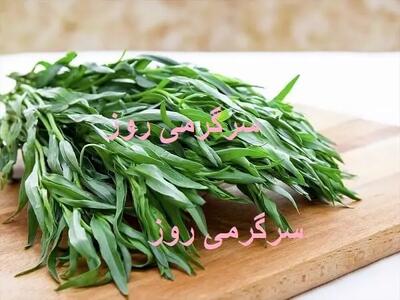 این سبزی بهاری سرشار از کلسیم و فسفر به حفظ سلامت کبد کمک می کند