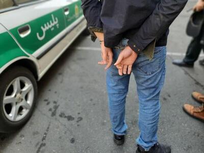 سارق باغات زنجان روانه زندان شد