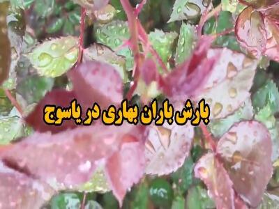 لطافت باران بهاری در یاسوج