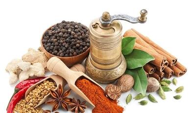 رازهای مزاج‌شناسی؛ از دَمَوی‌های پرانرژی تا صفراوی‌های تیزهوش