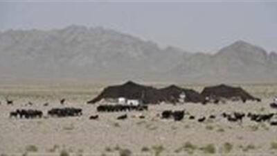 پرداخت حدود ۳۲ میلیارد تومان تسهیلات به عشایر خراسان جنوبی