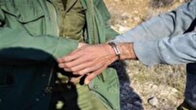 دستگیری عاملان شکار یک راس کل وحشی در شهرستان طبس