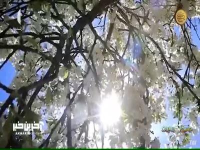 نماهنگ زیبای «لحظه شیرین» با صدای علی زند وکیلی