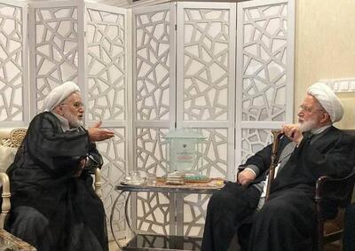 عبدالله نوری به دیدار مهدی کروبی رفت